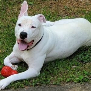 Clothes & Accessories